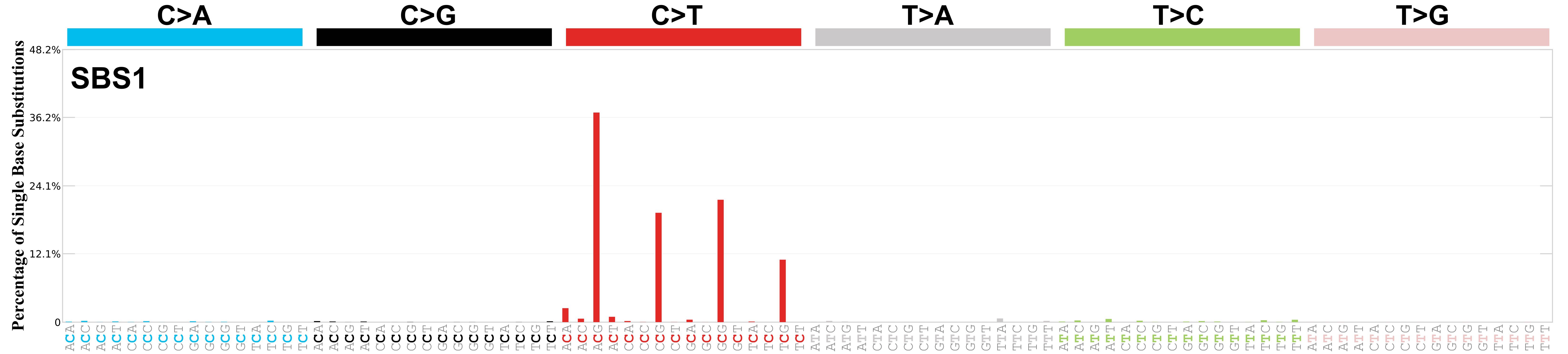Mutational signature spectrum plot, SBS1, associated with ageing
